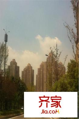 中交麗景施工進(jìn)度圖（2015.3）