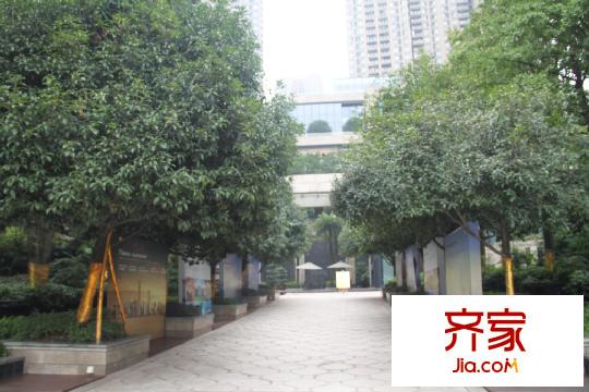 華潤二十四城售樓部外綠化（2015.10.9）