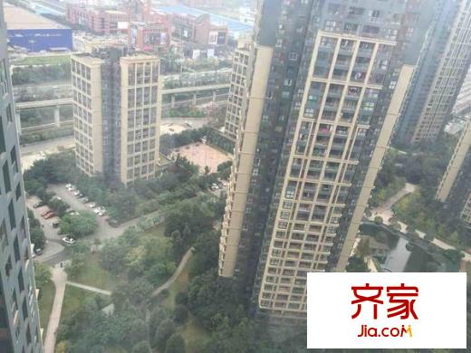 奧林匹克花園七期外景圖紫楓郡 