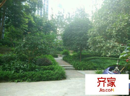 奧林匹克花園七期外景圖紫楓郡 