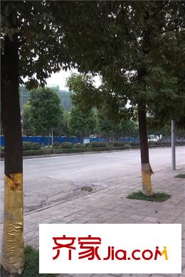 北大資源博雅項目周邊街道