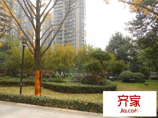 金科西城大院外景圖 