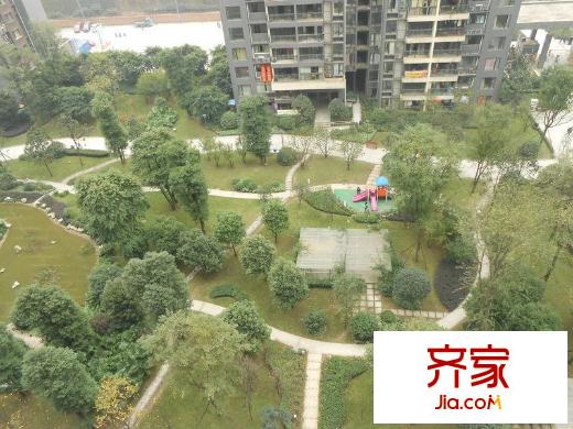 金科西城大院外景圖 