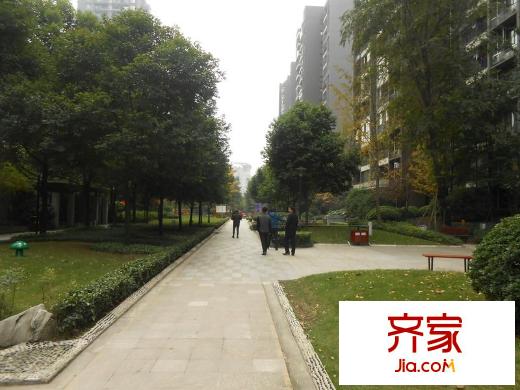 金科西城大院外景圖 