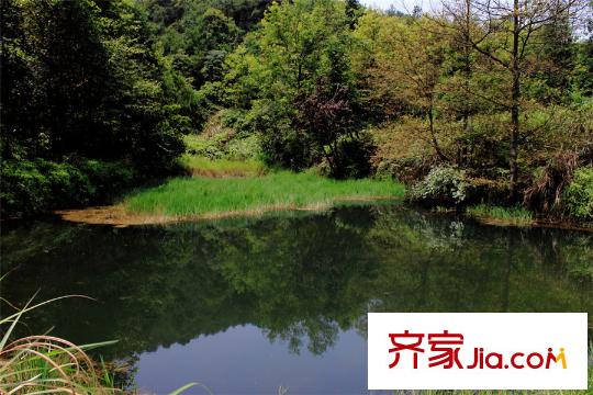 首創(chuàng)莫奈花園周邊森林公園