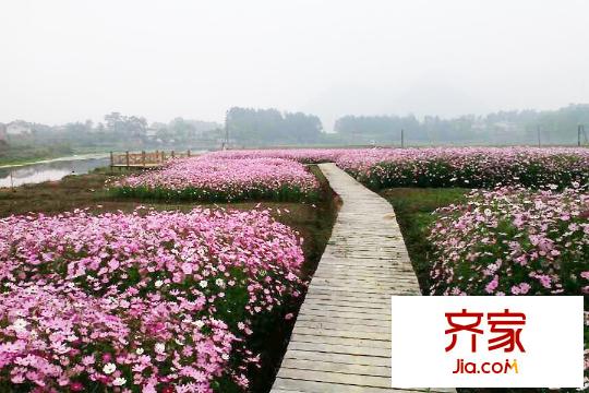 嘉德山居流水人家項(xiàng)目綠化（2015-06-04）