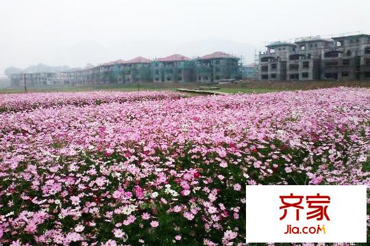 嘉德山居流水人家項(xiàng)目綠化（2015-06-04）