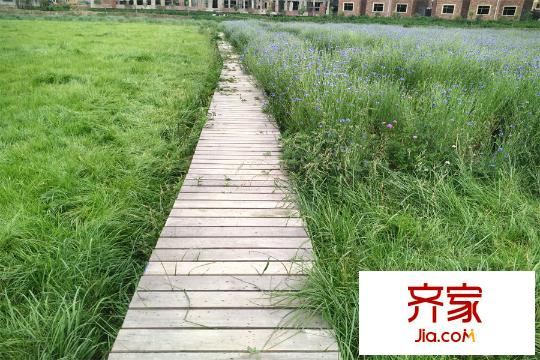 嘉德山居流水人家項(xiàng)目綠化（2015-06-04）