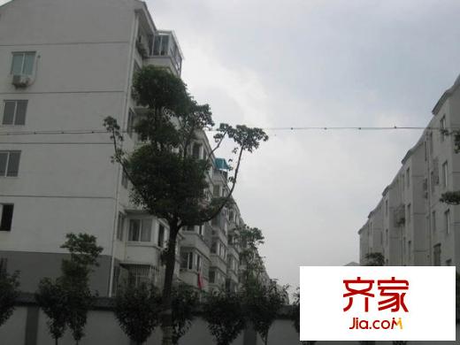 長(zhǎng)江花園三區(qū)外景圖 