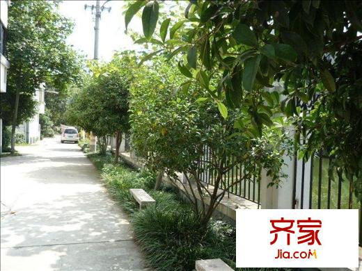 巴里新村外景圖
