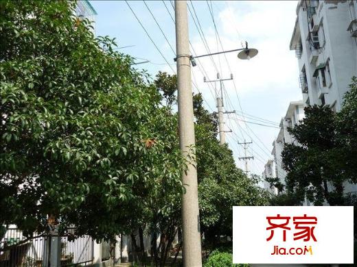 巴里新村外景圖