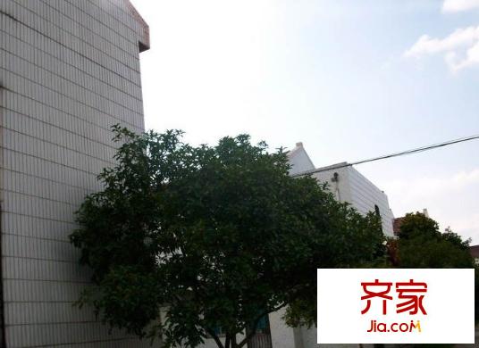 東郊花園外景圖 