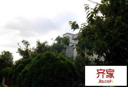 東郊花園外景圖 