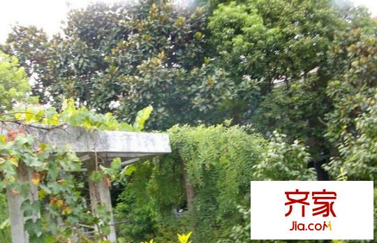 東郊花園外景圖 