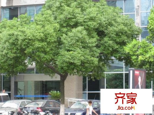 佳福國(guó)際大廈外景圖
