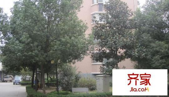 云梨小區(qū)外景圖
