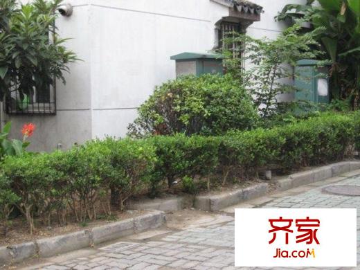 東百花巷外景圖