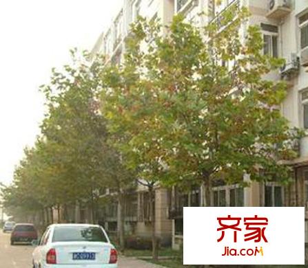 水香街小區(qū)外景圖水香街