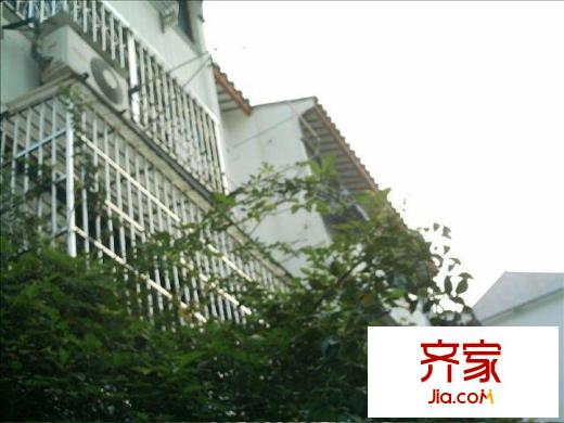 東中市小區(qū)外景圖東中市