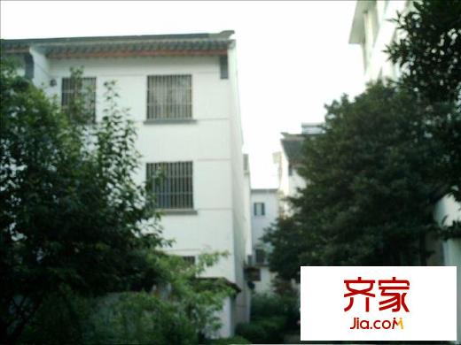 東中市小區(qū)外景圖東中市