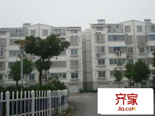 金山浜花園外景圖