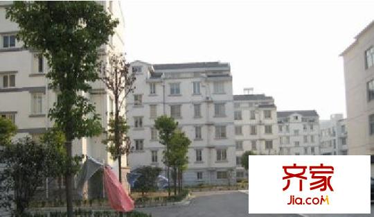 金山浜花園
