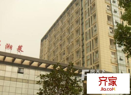 金楓國際外景圖