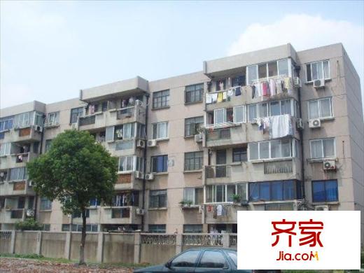 蠶桑地