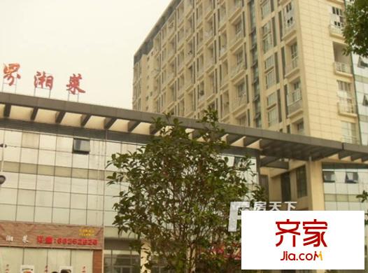 金楓國際外景圖