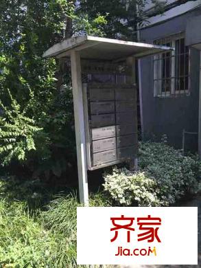 彩香一村