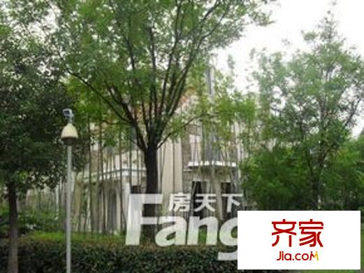 金燕半島外景圖