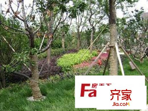 太湖春申居外景圖 