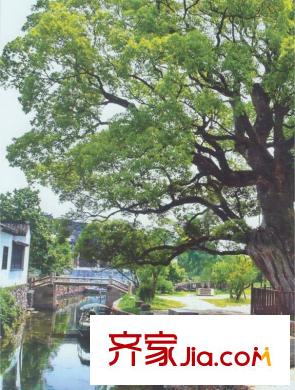 莊子項(xiàng)目向東一千米東山