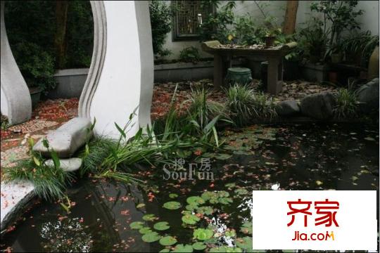 水鄉(xiāng)佳景別墅外景圖