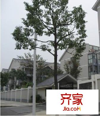 馨苑別墅外景圖 