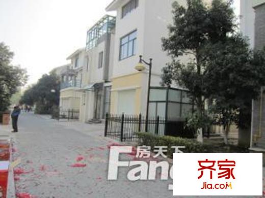 金澄花園別墅外景圖