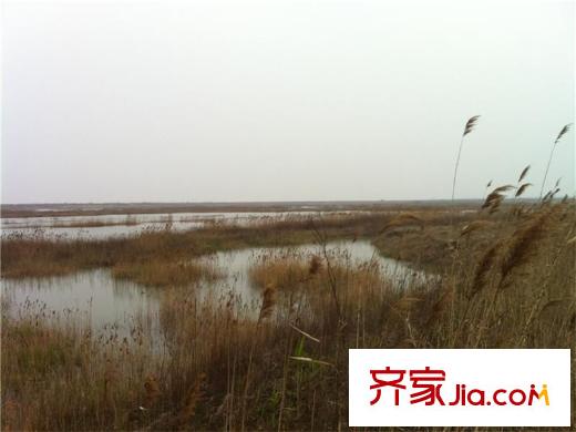 耀江淀湖桃源生態(tài)濕地（2011.04）