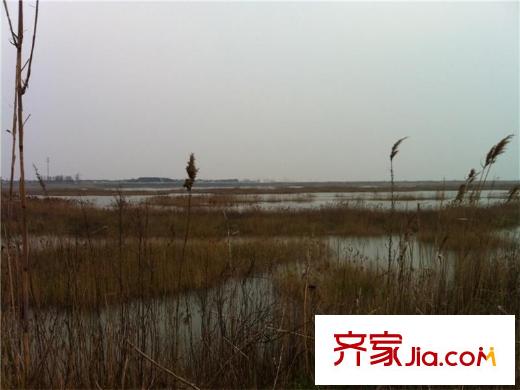 耀江淀湖桃源生態(tài)濕地（2011.04）