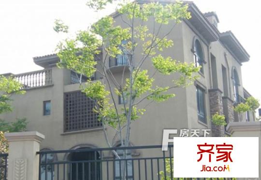 新湖明珠城別墅外景圖