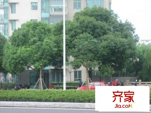 馨湖園別墅外景圖馨湖園 