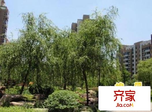 嘉業(yè)陽光假日別墅外景圖