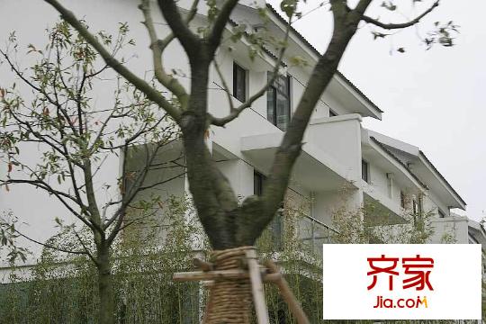 惠澤云錦城別墅外景圖云錦城別墅 