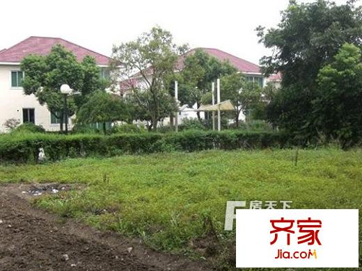 東岸綠洲半島外景圖