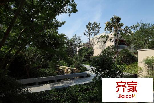 萬(wàn)科中糧本岸三期實(shí)景圖綠化景觀實(shí)景2011.10.8