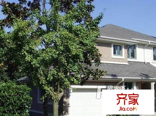 天鄰風(fēng)景外景圖