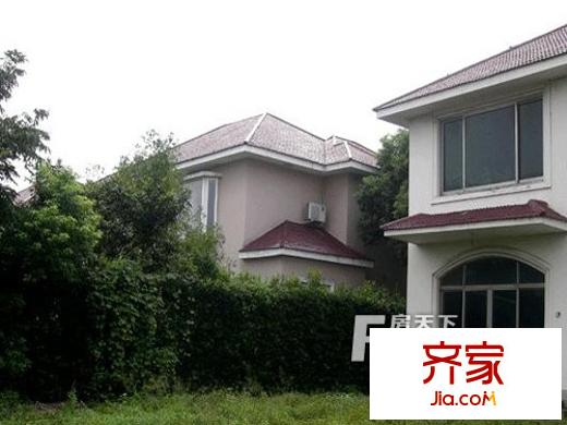 東岸綠洲半島外景圖