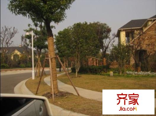 金雞湖花園別墅外景圖 