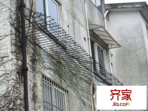 平江花園外景圖小區(qū)相關(guān)圖_6