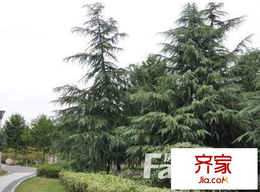 甫澄苑西區(qū)外景圖