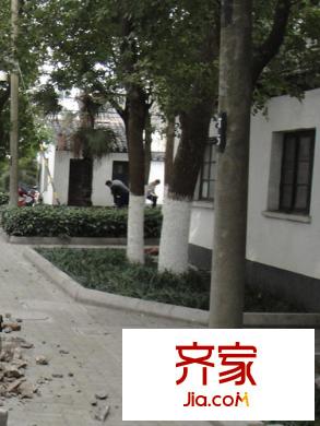 長洲路